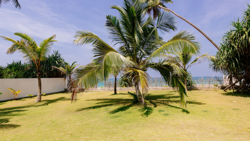 Green Parrot Beach Villa