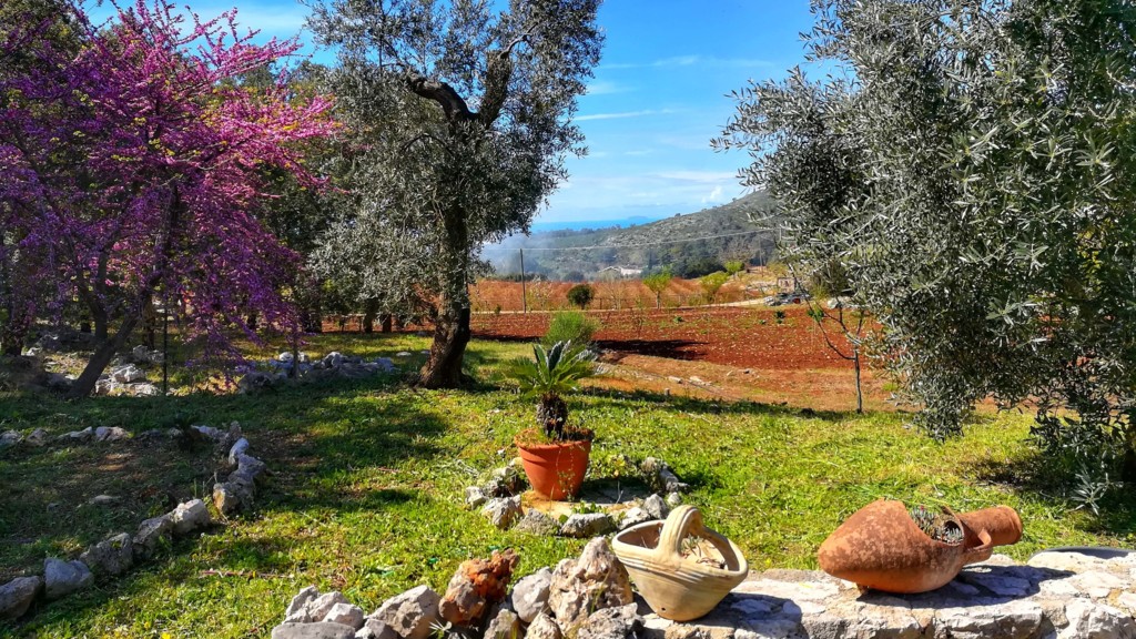 Villa Cycas