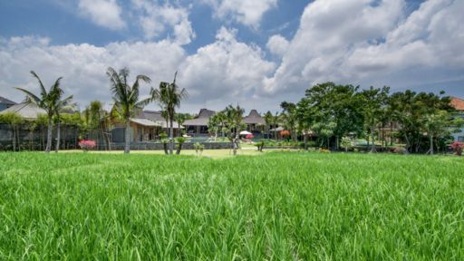 Villa Mannao Alentours